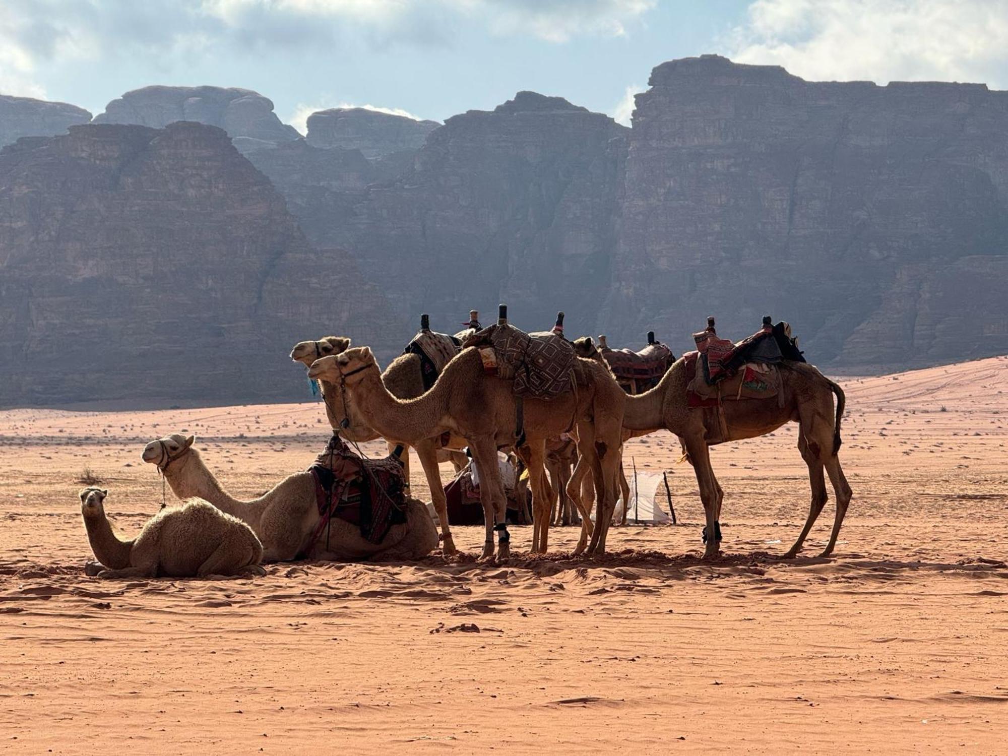 Hotel Sunrise Luxury Camp à Wadi Rum Extérieur photo